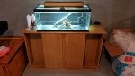 Wood Gas Wood stain Hardwood Display case