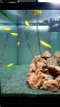 20161009_221651.jpg