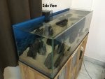 Cabinetry Wood Display case Gas Glass